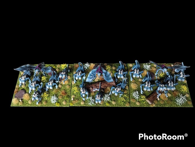 PhotoRoom-20230210_161859