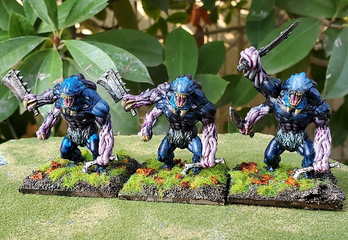 KoW_Butchers_Regiment_Done