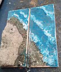 sea1