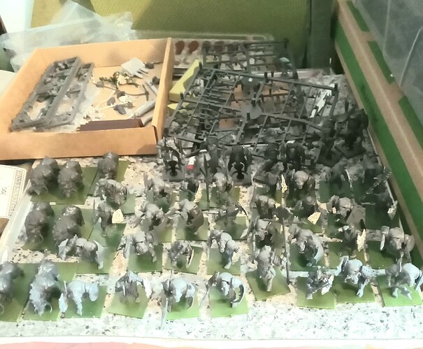 20241028_115034_mfnr